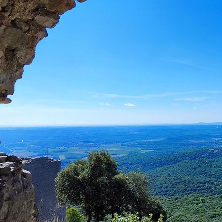 Le Castellas Du Pic St Loup Saint-Mathieu-de-Treviers Luaran gambar