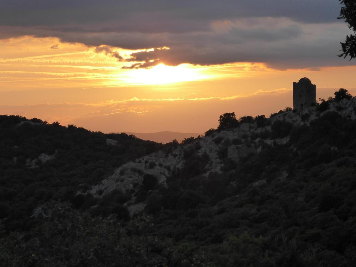 Le Castellas Du Pic St Loup Saint-Mathieu-de-Treviers Luaran gambar