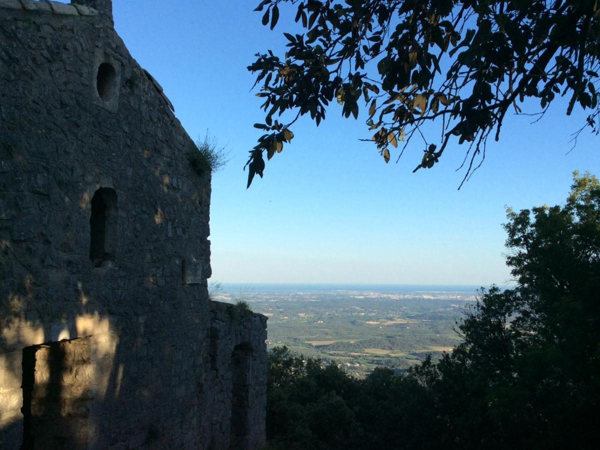 Le Castellas Du Pic St Loup Saint-Mathieu-de-Treviers Luaran gambar
