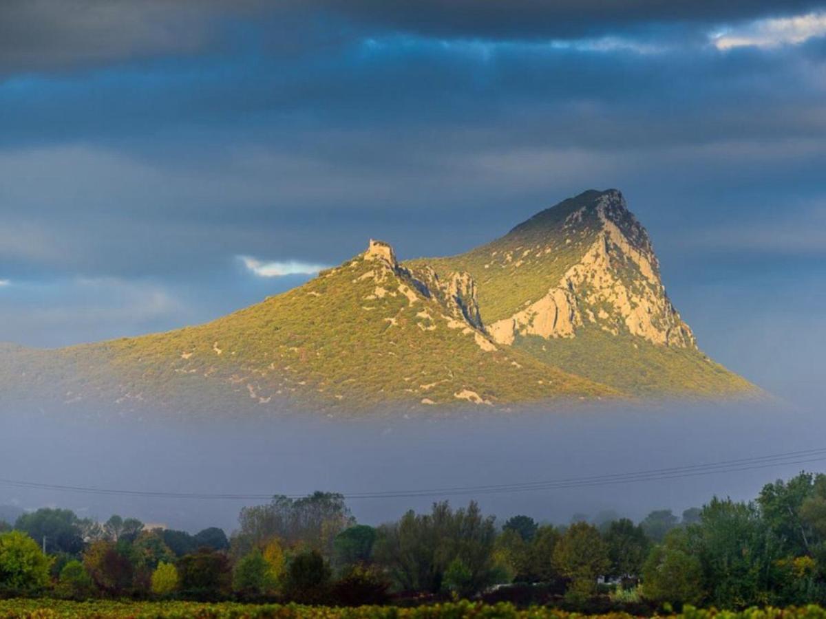 Le Castellas Du Pic St Loup Saint-Mathieu-de-Treviers Luaran gambar