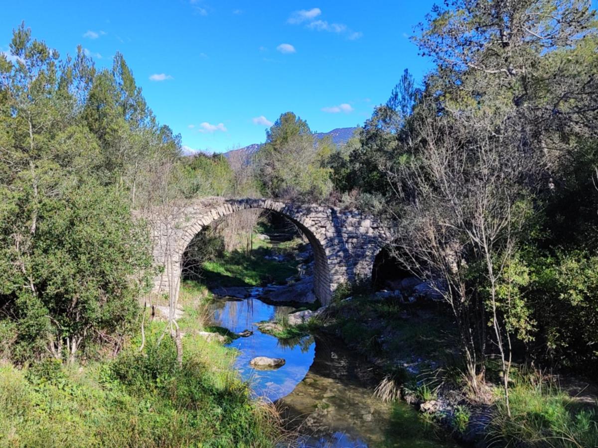 Le Castellas Du Pic St Loup Saint-Mathieu-de-Treviers Luaran gambar