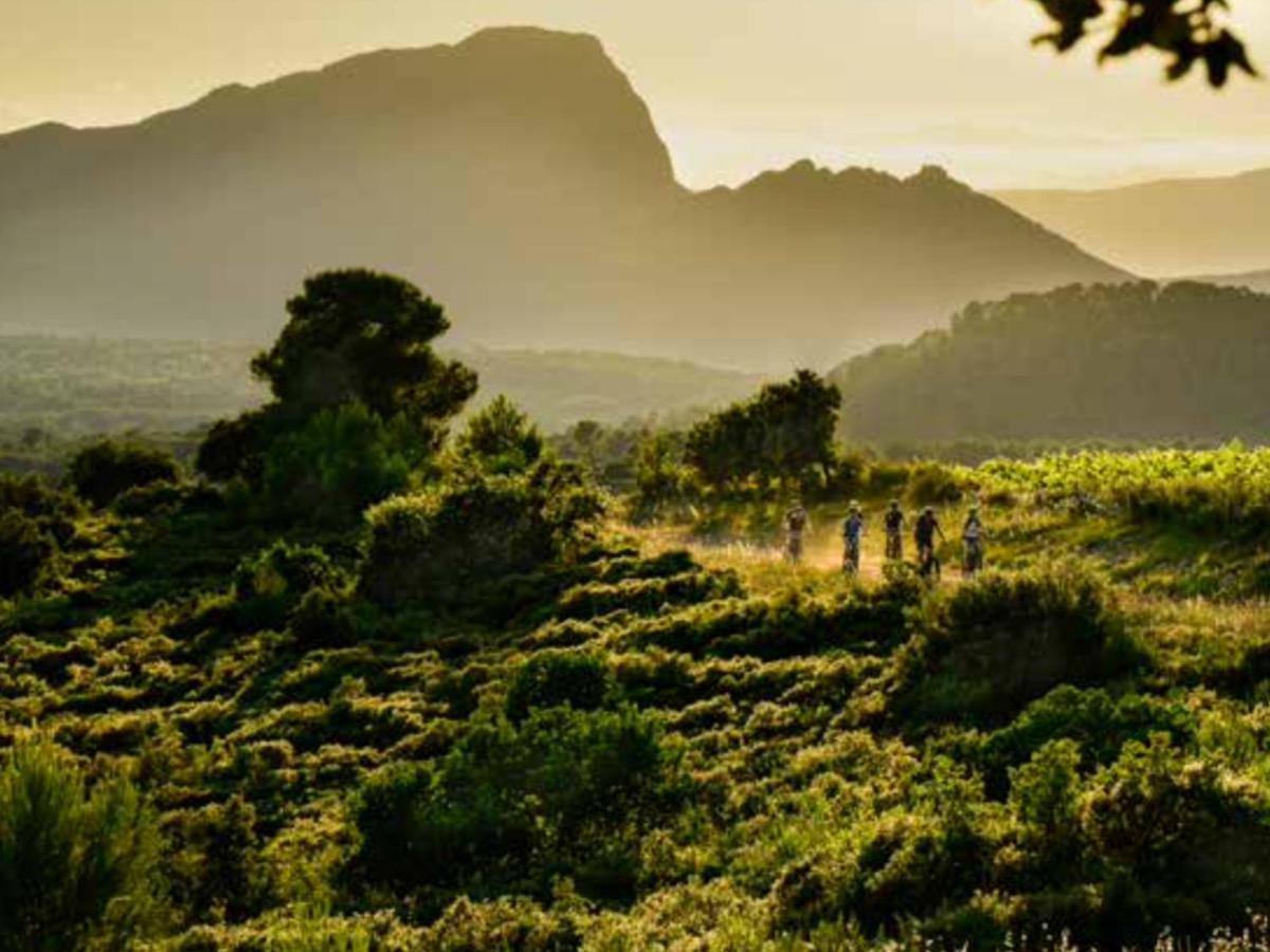 Le Castellas Du Pic St Loup Saint-Mathieu-de-Treviers Luaran gambar